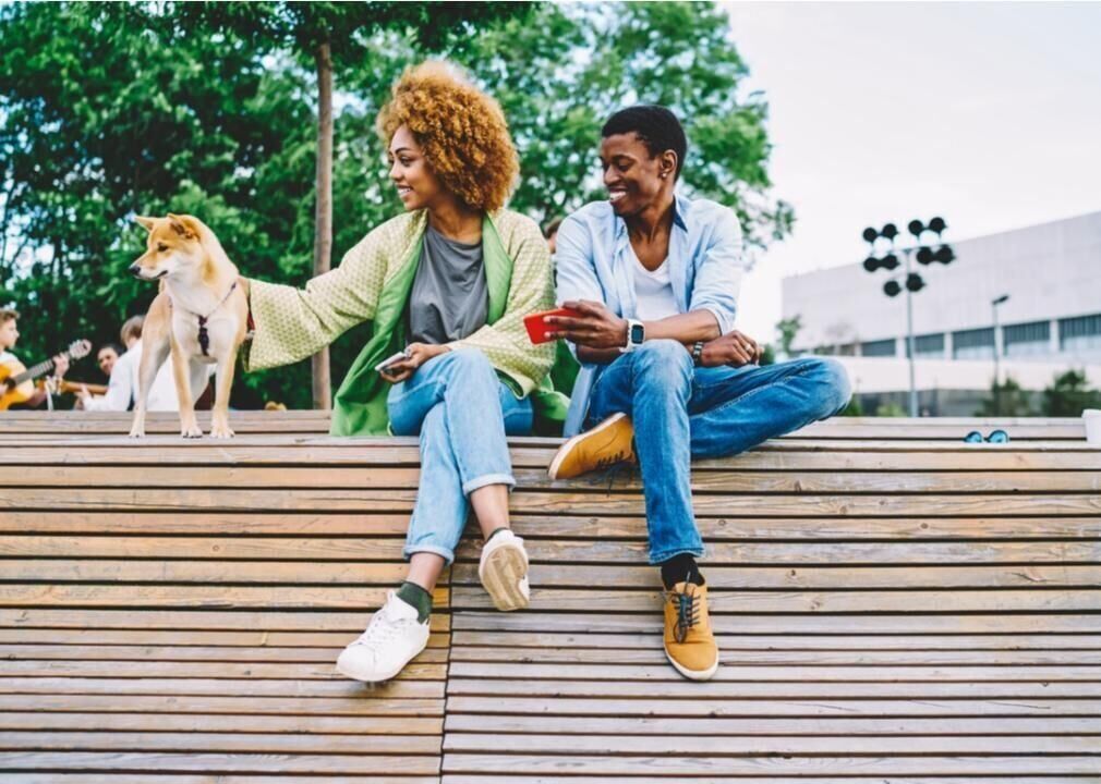 Dog Park Best Practices for New Pet Owners | Pets 53 to be alert
